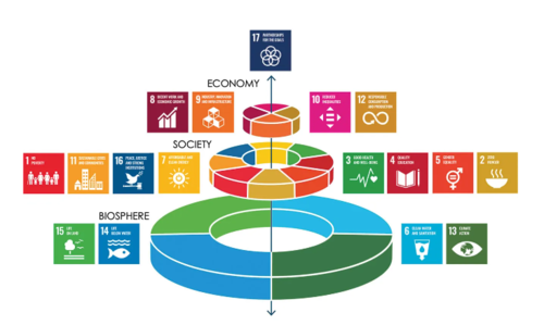 Figure 1- The SDG ‘wedding cake’