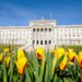 Stormont Shared Island