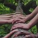 Tree Hands Image