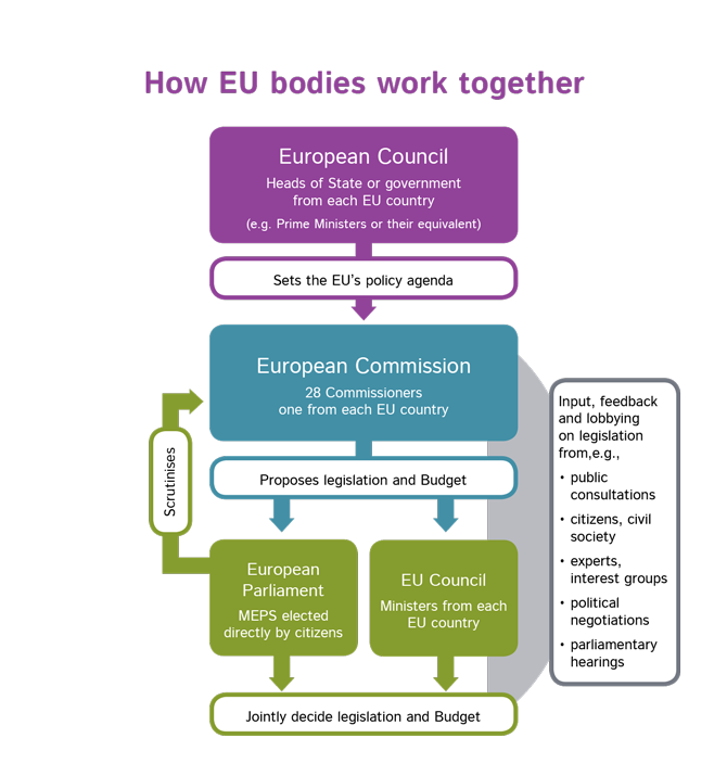 European Parliament Organisation Chart